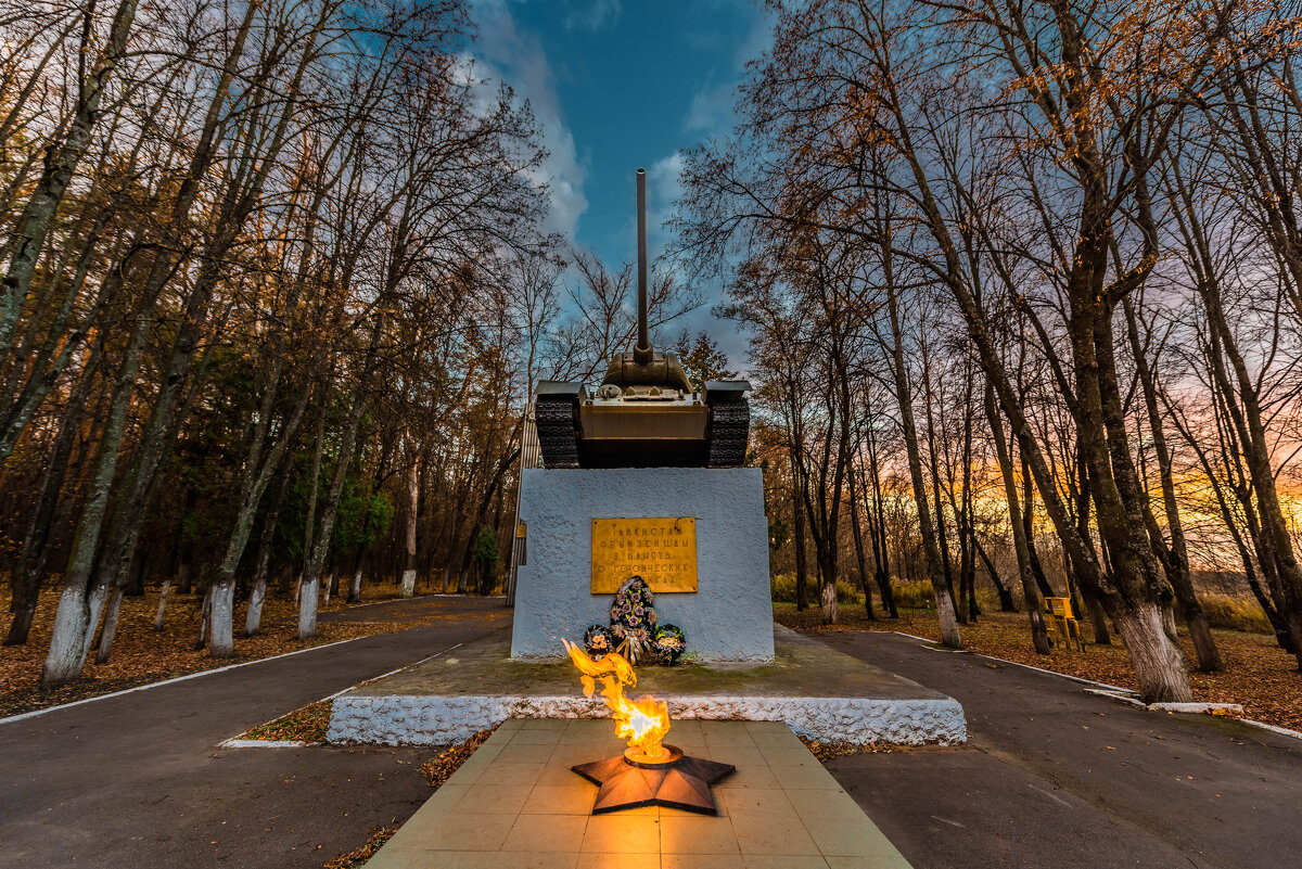 *** - Владимир Васильев