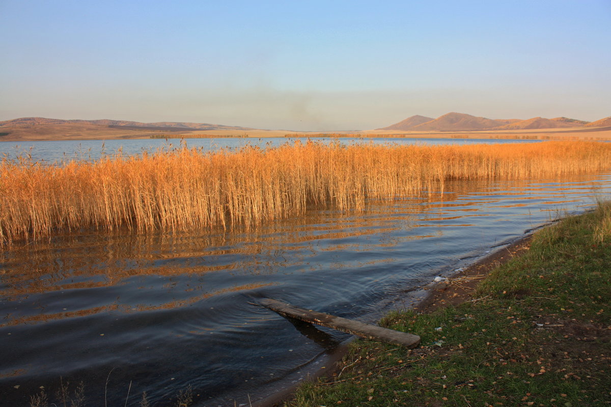 Осенний пейзаж на воде. - Наталья Юрова