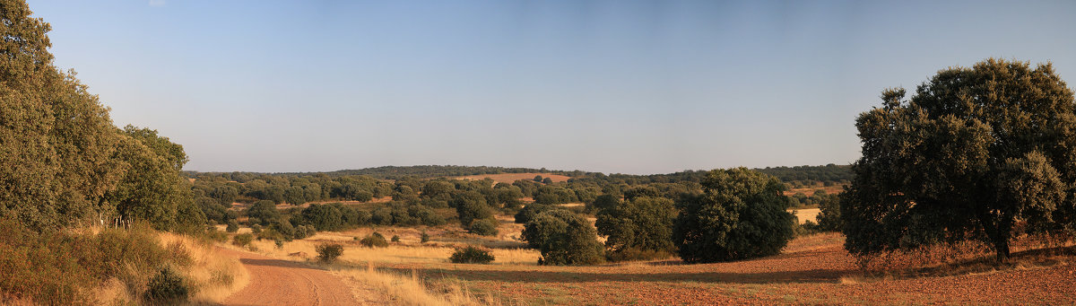 Spain, Camino Sanabres - Анатолий Калмыков