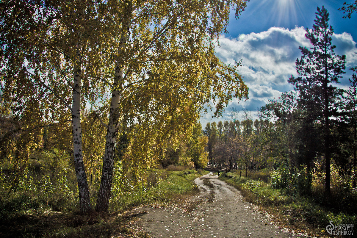 Осень в парке - Сергей Гашников