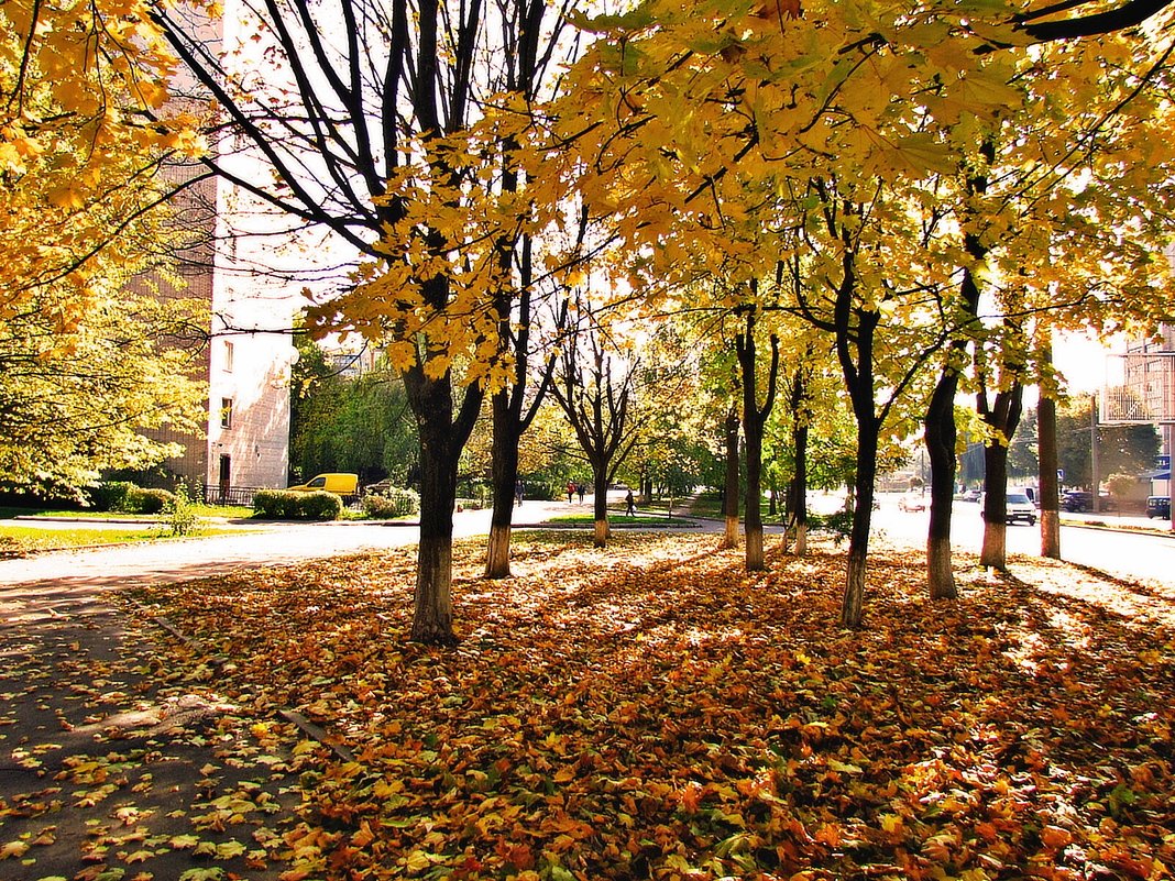 осень в городе - юрий иванов