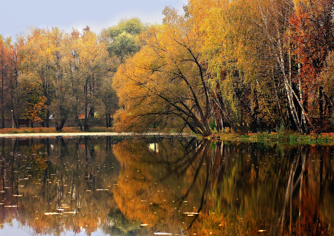 Осенний день на Маленковском пруду - Olenka 