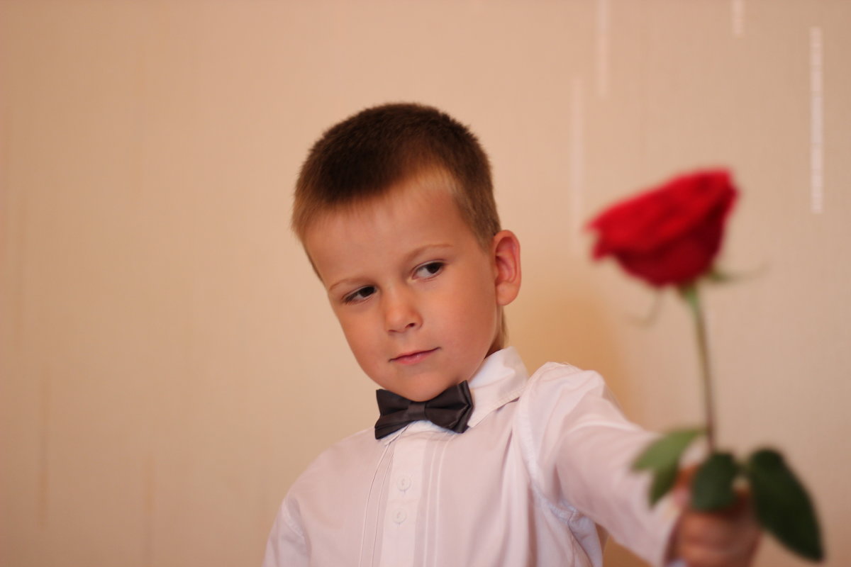 Die Rose und der Junge - Анастасия Аверина