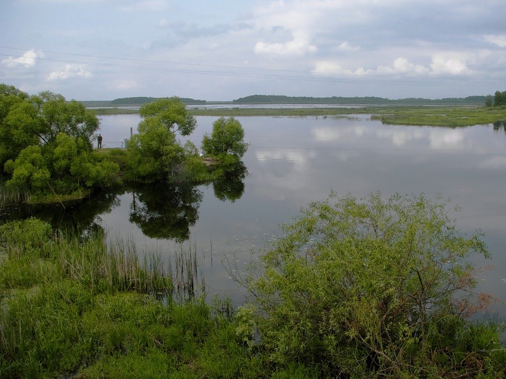 Река Пра - Ольга Маркова