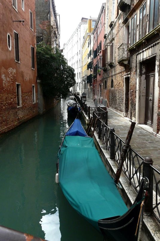 каналы Венеции - Irishka Chanterelle