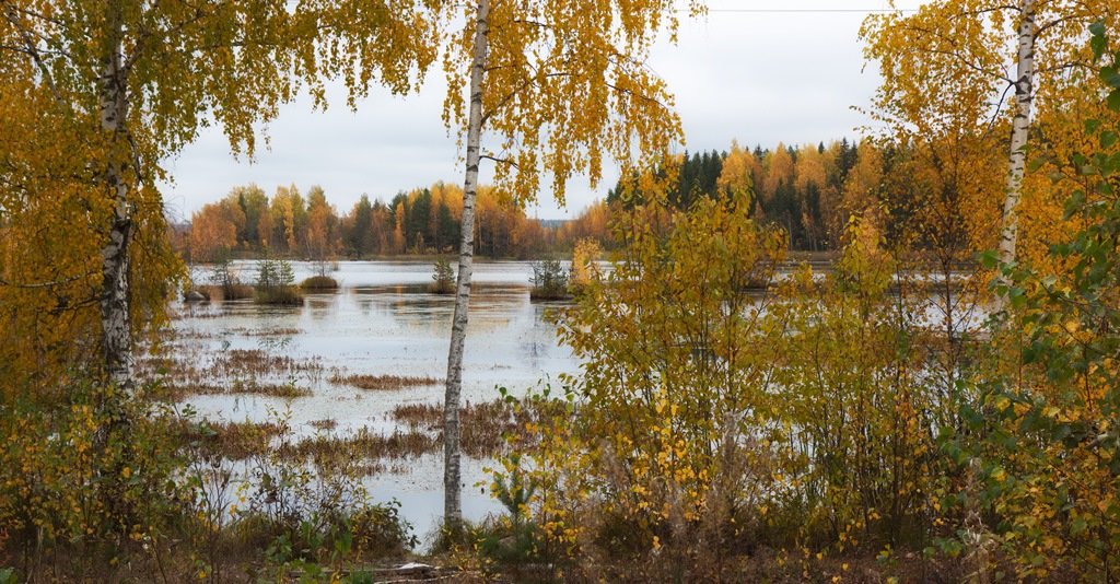 "Беснебесная" осень,,, - Ирина Елагина