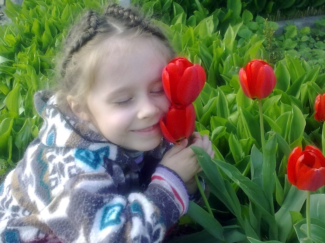 Лиза и тюльпаны - Валентина Лексикова