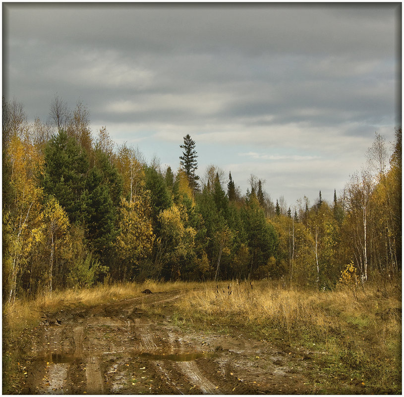 дороги осени - Александр 