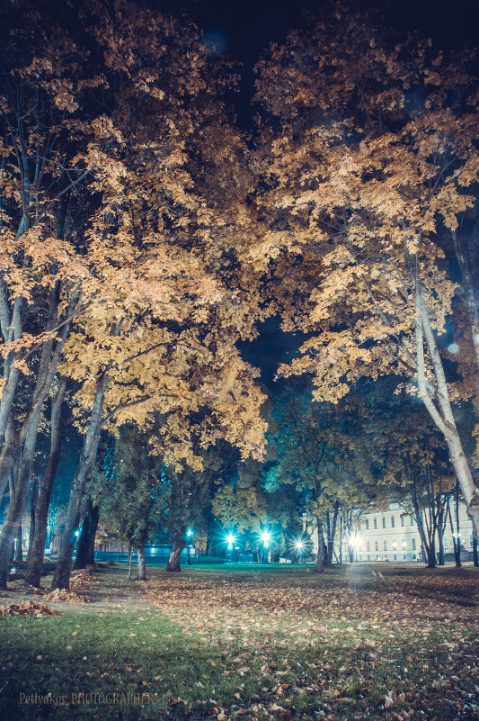Ночной парк - Антон Петляков