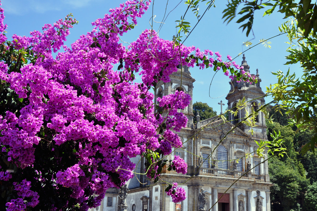 Цветущая Португалия - Андрей Конин