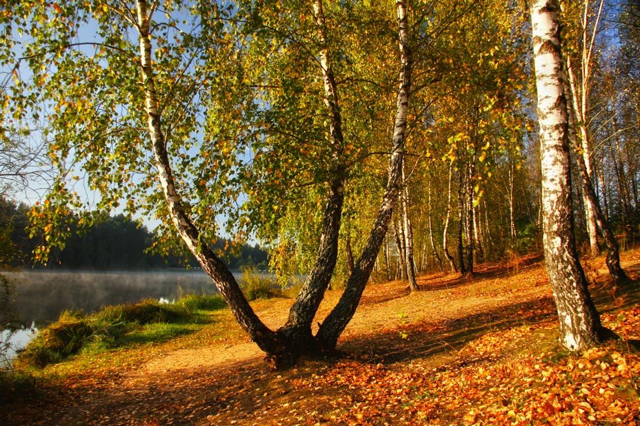 Бабье лето - Олег Самотохин