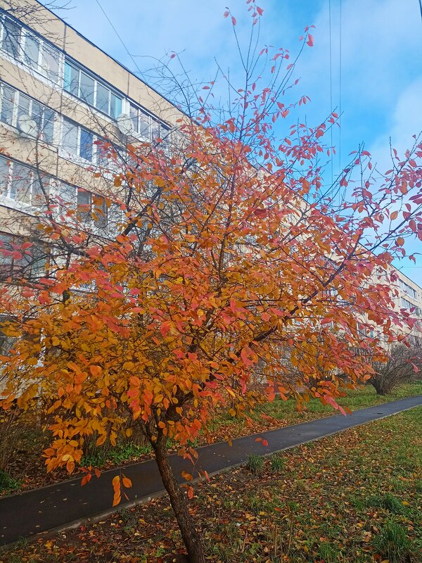 Осень в городе - Сергей Кочнев