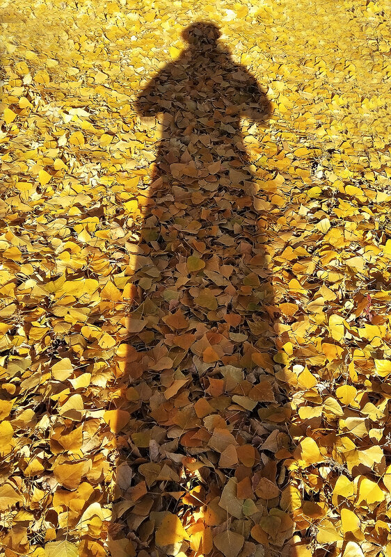 Осень, солнце и фотограф! - Валентина  Нефёдова 