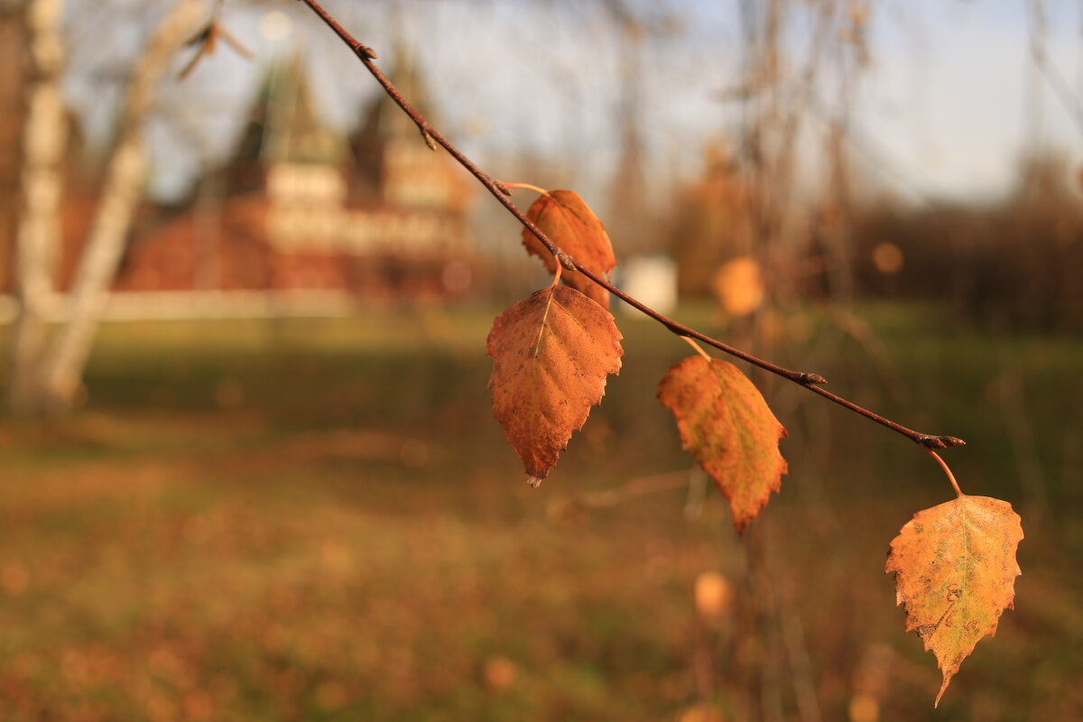 Осень В Коломенском - Ninell Nikitina