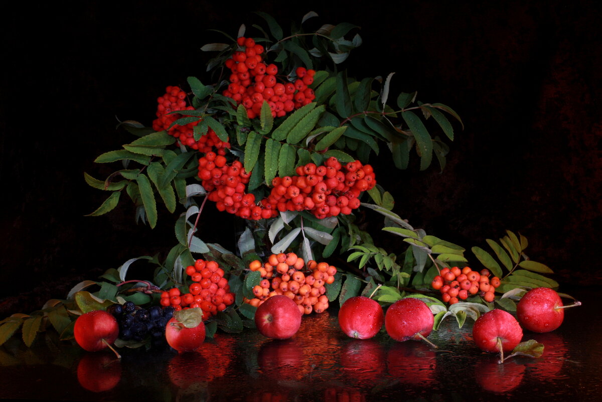 Натюрморт с рябиной и райскими яблоками - Нэля Лысенко