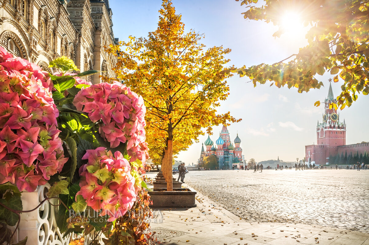 Осенние цветы на Красной Площади - Юлия Батурина