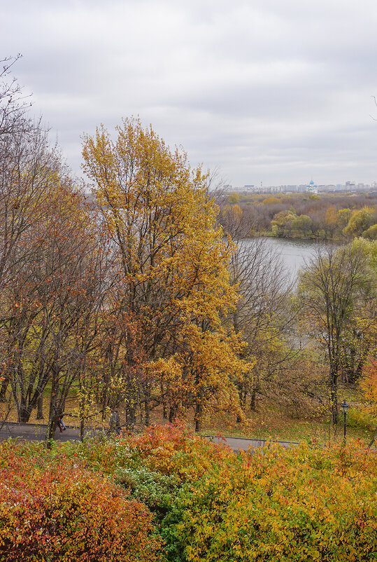 Краски осени - Ольга 