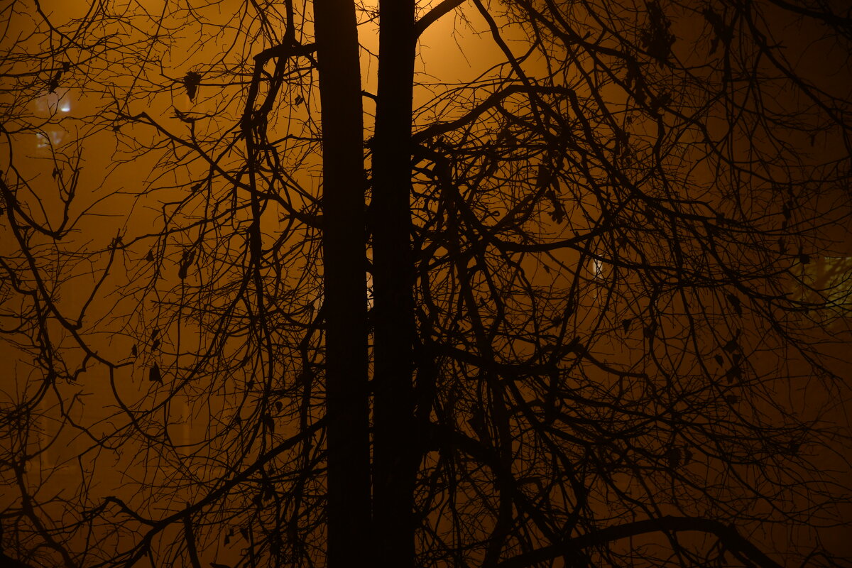 Ночь, улица, туман... - андрей громов
