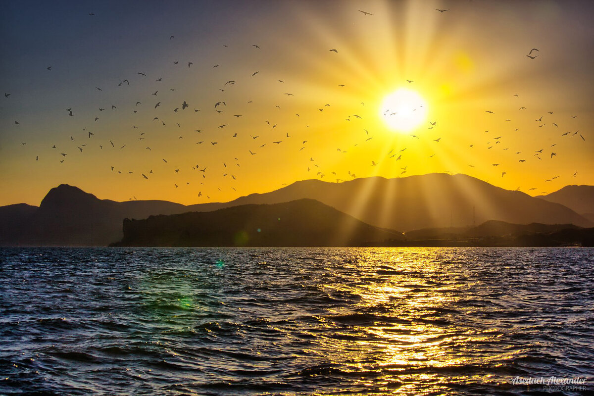 птицы, солнце, море - Alexander Asedach