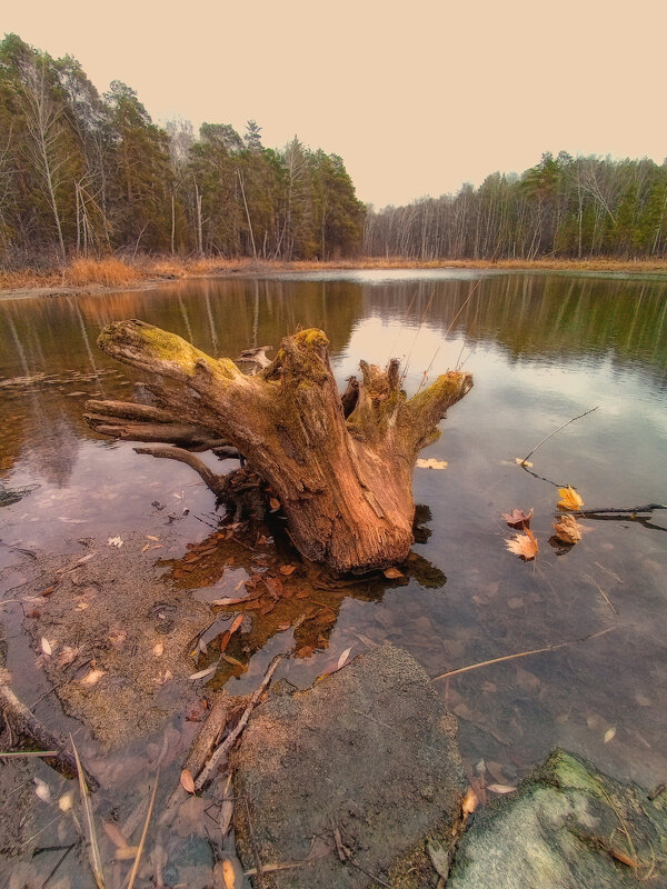 Последний день осени - Натали Акшинцева