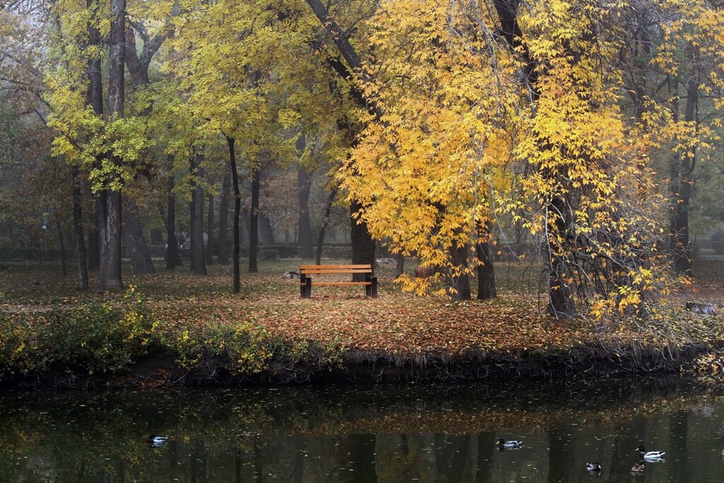 Осенний блюз - barsuk lesnoi