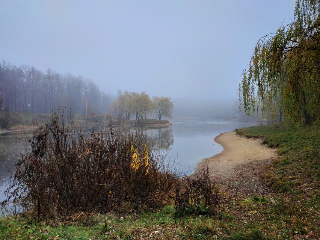 Туман - это подарок снимающему - Андрей Лукьянов