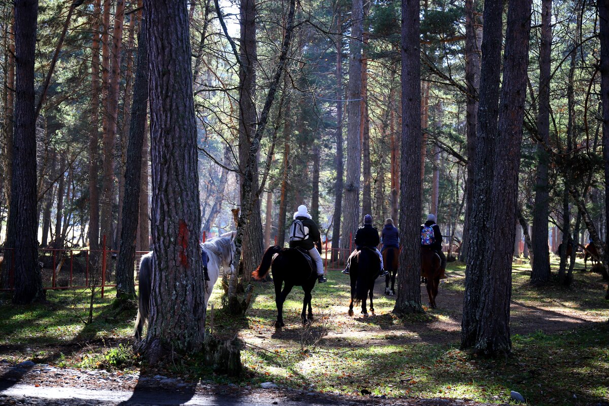 Архыз, конные прогулки - Evgeny Mameev