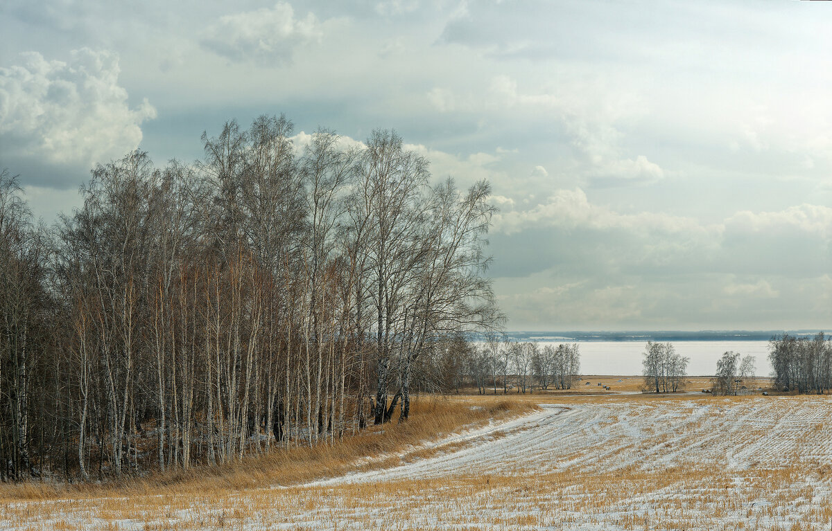 В полях - Дмитрий Конев