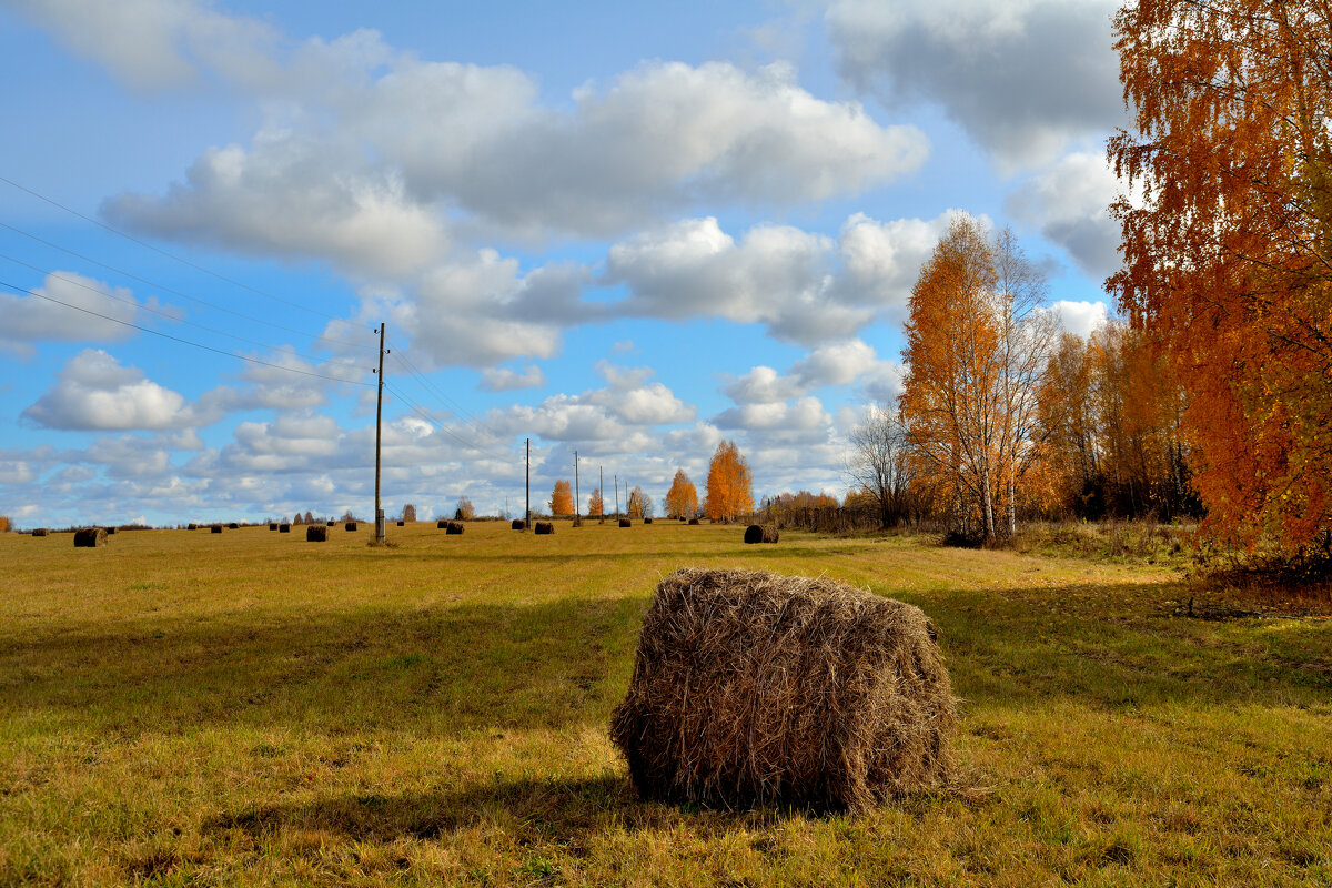 ... - Александр Зуев