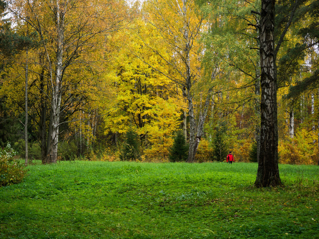 Осень в парке - Елена Кириллова