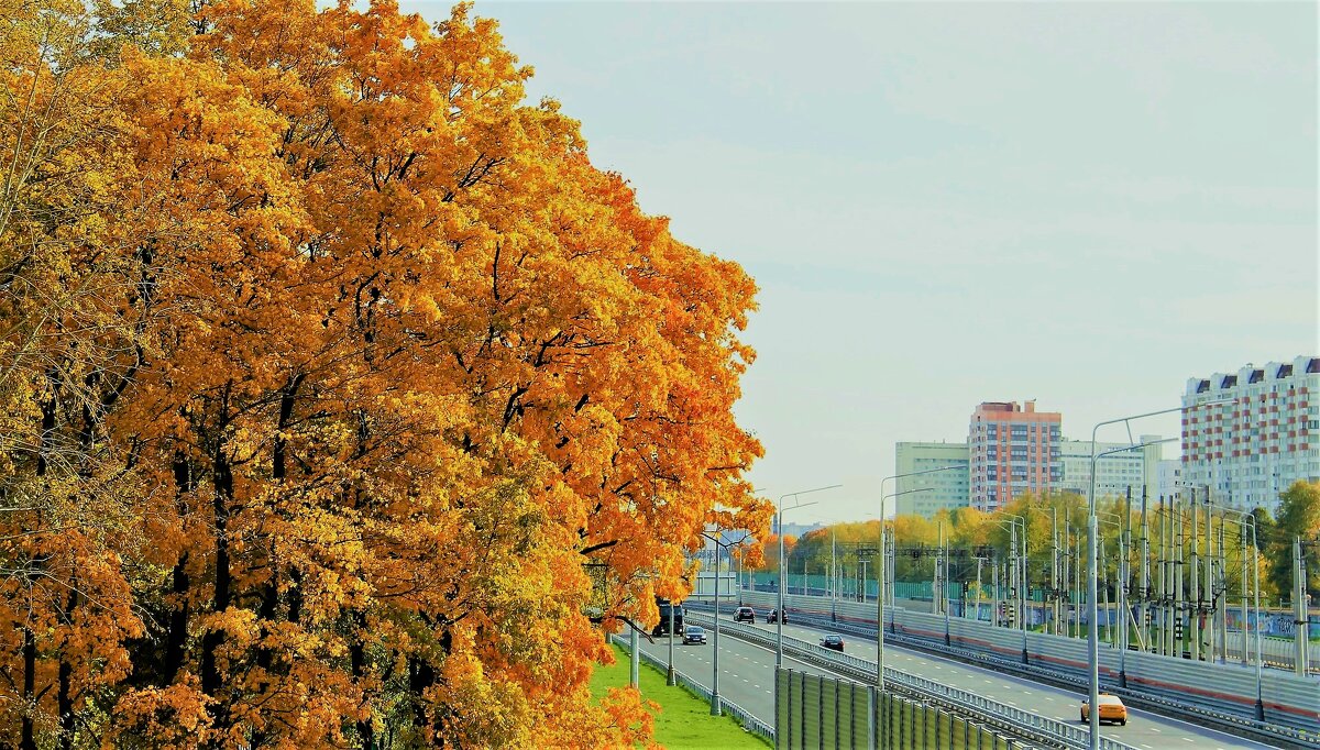 ОСЕНЬ В ГОРОДЕ - Валентина 