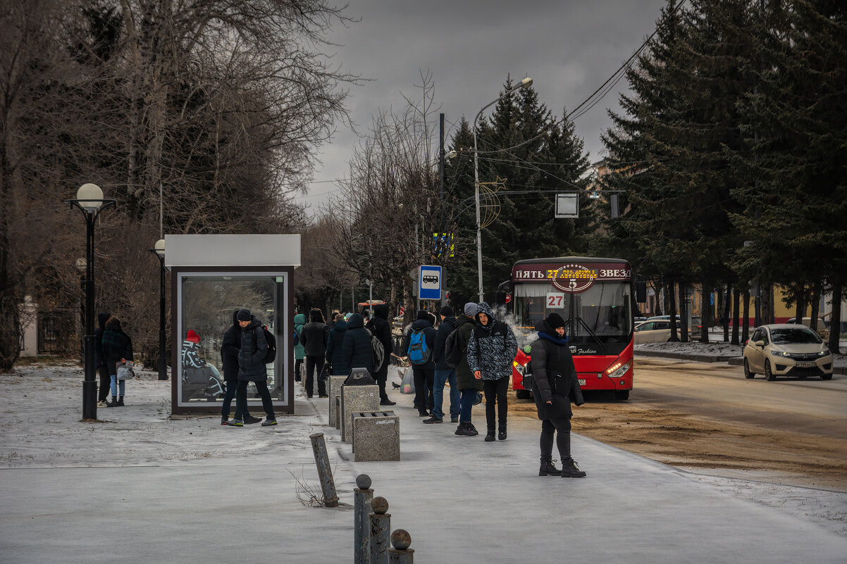 Вот и зима пришла, 10.11.2021г. - Виктор Иванович Чернюк