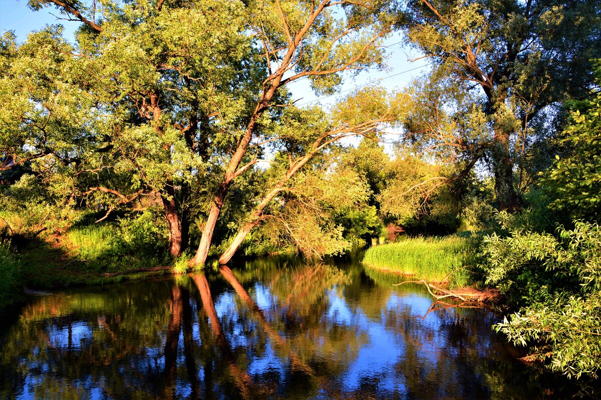 На реке Клязьма - Ольга (crim41evp)
