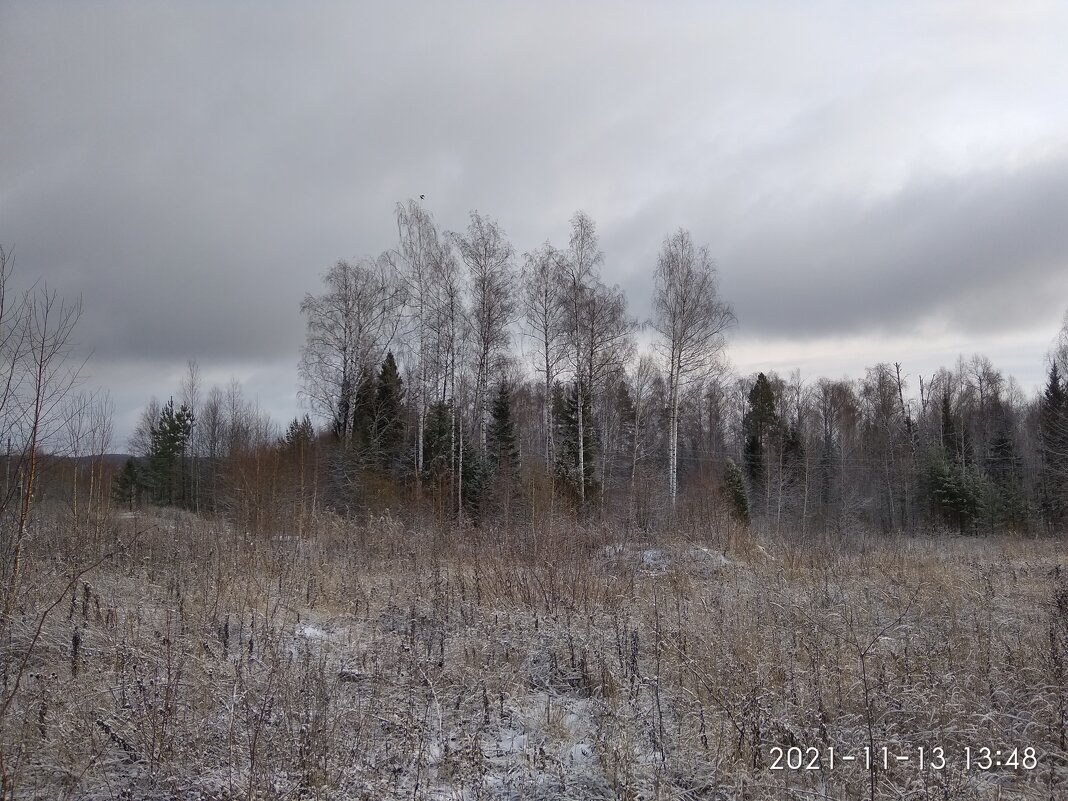 Цвет  серый ( и его оттенки)- король сегодняшнего дня.. - Алена 