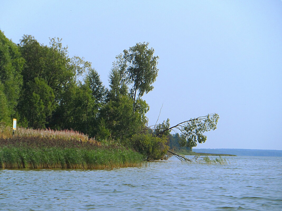 Водохранилище Карманово Смоленская область - Галина 