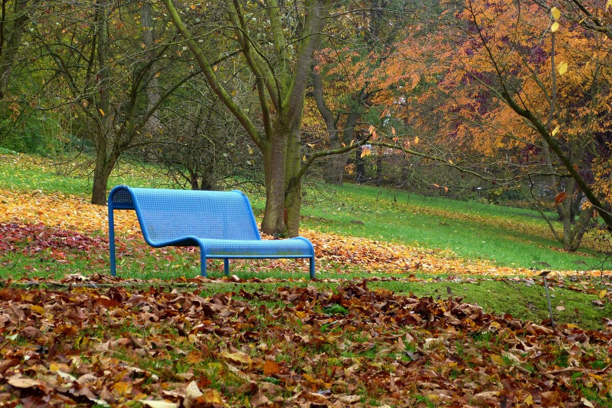 синяя скамейка в парке - Heinz Thorns