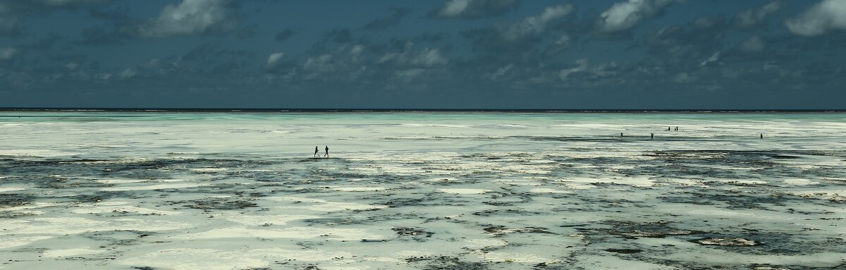 Индийский океан,Танзания,отлив - alexx Baxpy