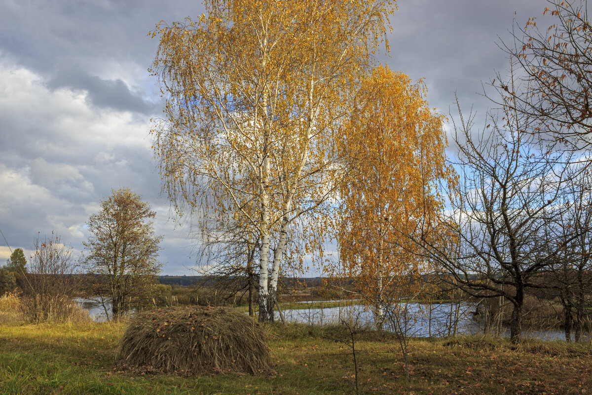 Стожок - оксана 