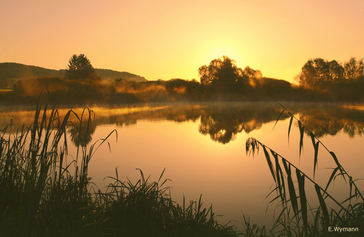 misty morning - Elena Wymann