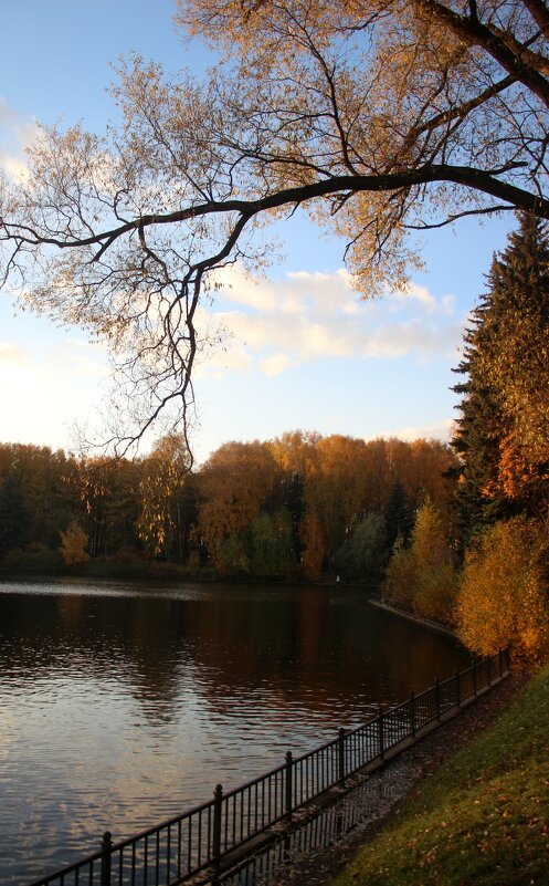 Золотая осень в Приморском парке - Наталья Герасимова