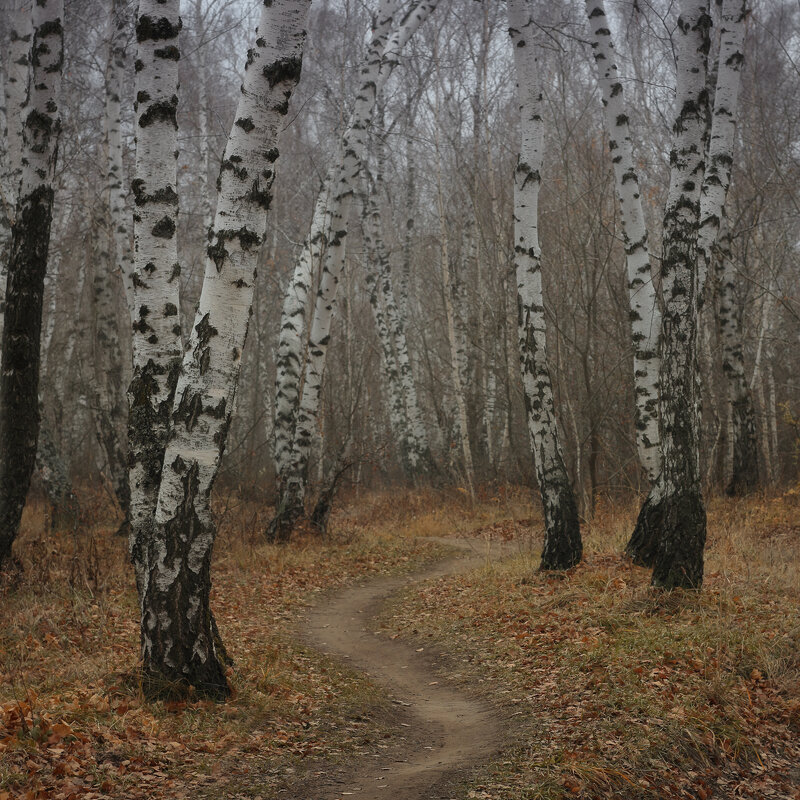 Осенней тропинкой - Pavel Blashkin