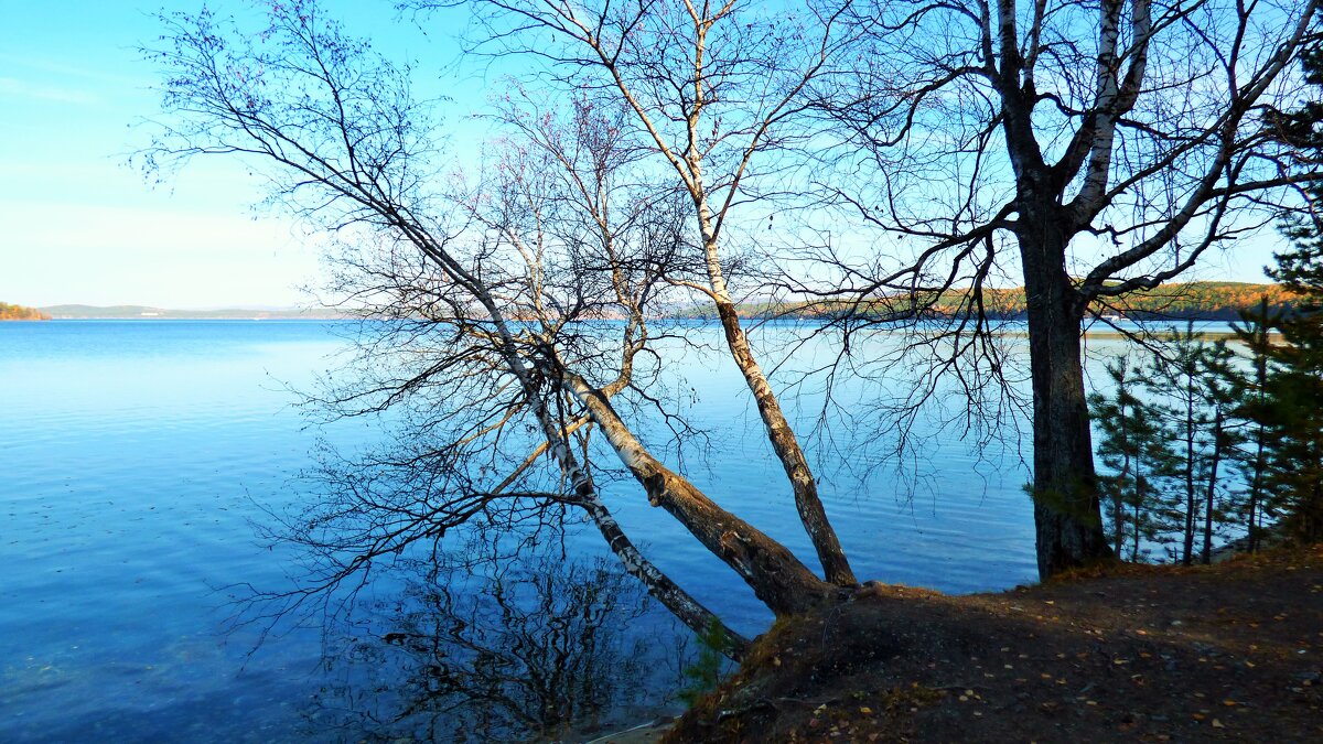 Берёзки над водой - Oksana ***