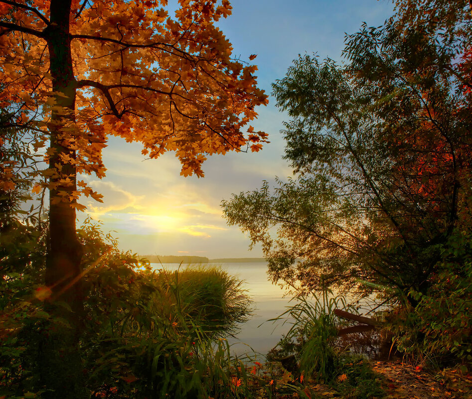 Осенний пейзаж - ALISA LISA