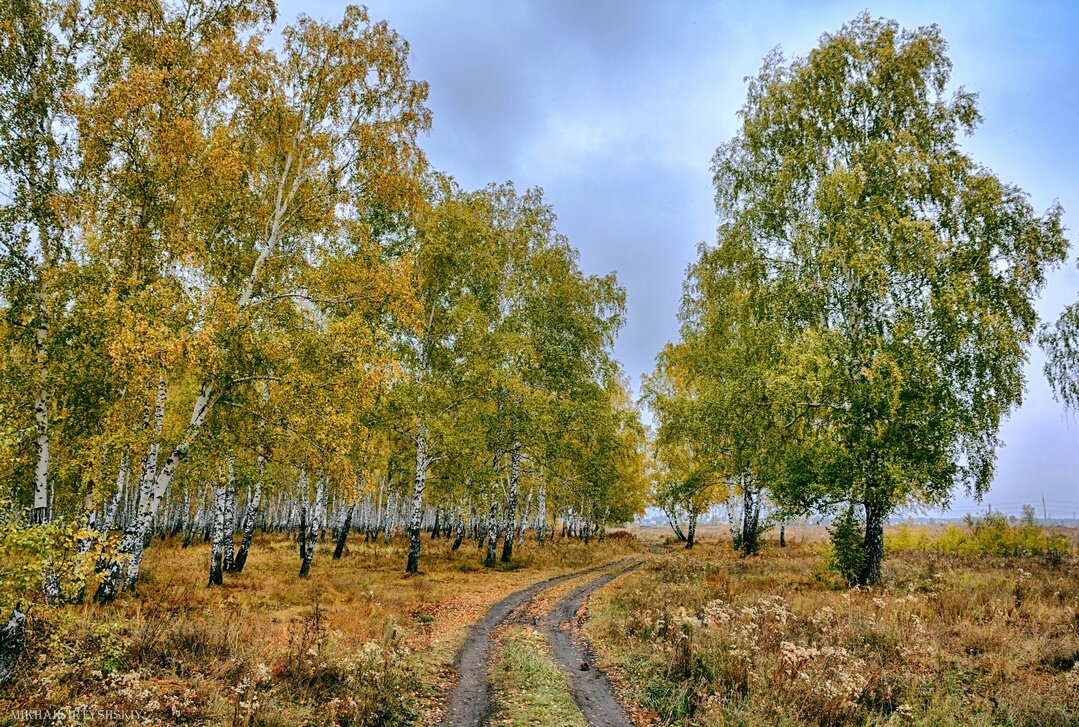 По дороге осенней - Mikhail Irtyshskiy