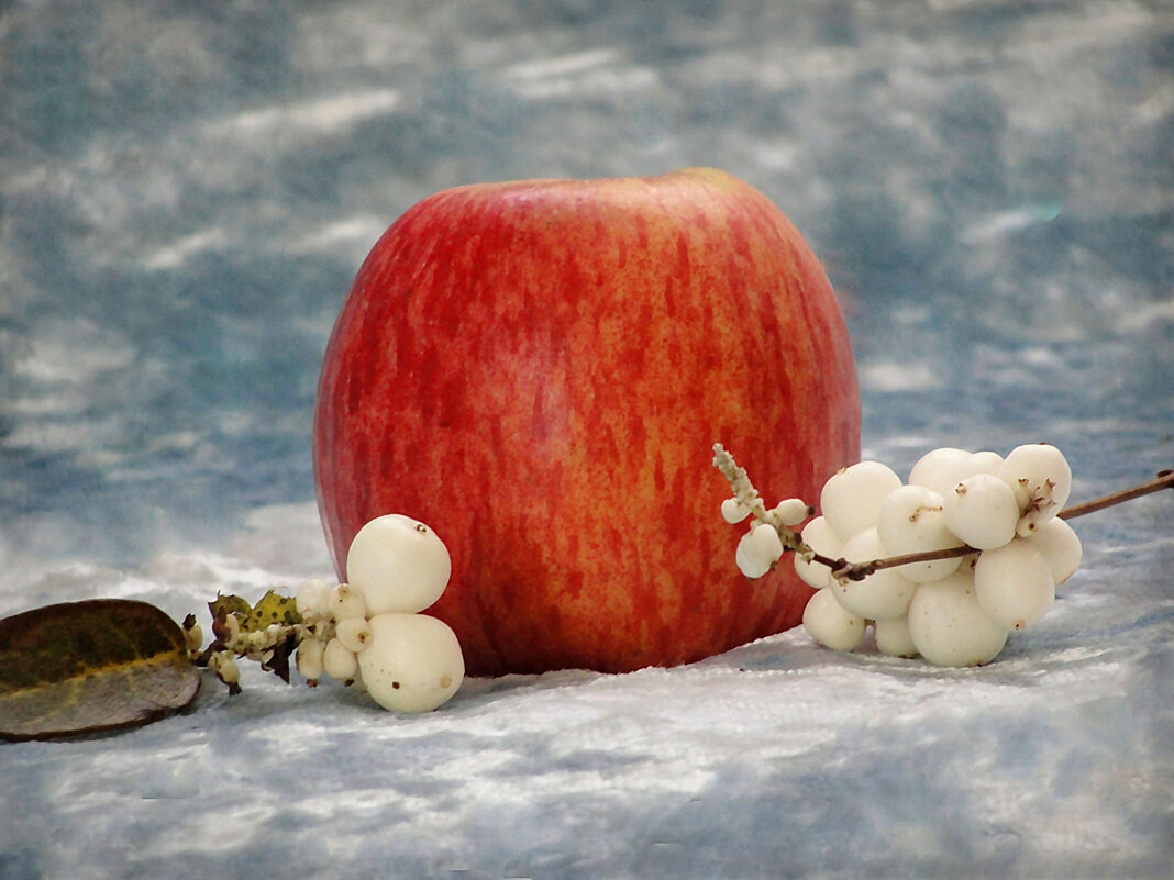 "Яблуко і сніжноягідник" - Ростислав Кухарук