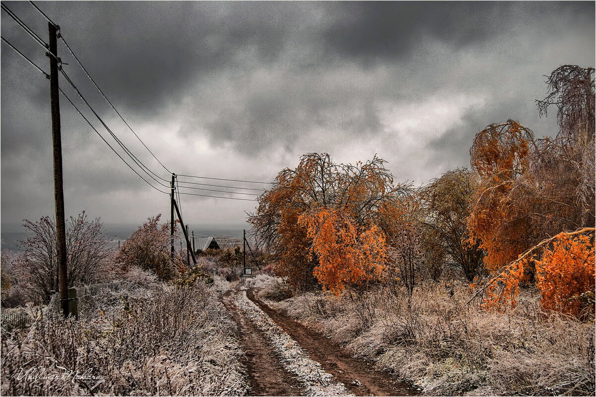 "Стылая осень"© - Владимир Макаров