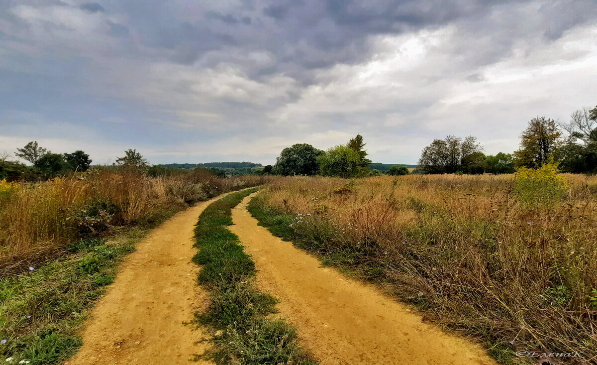 Дорога - Елена Кирьянова