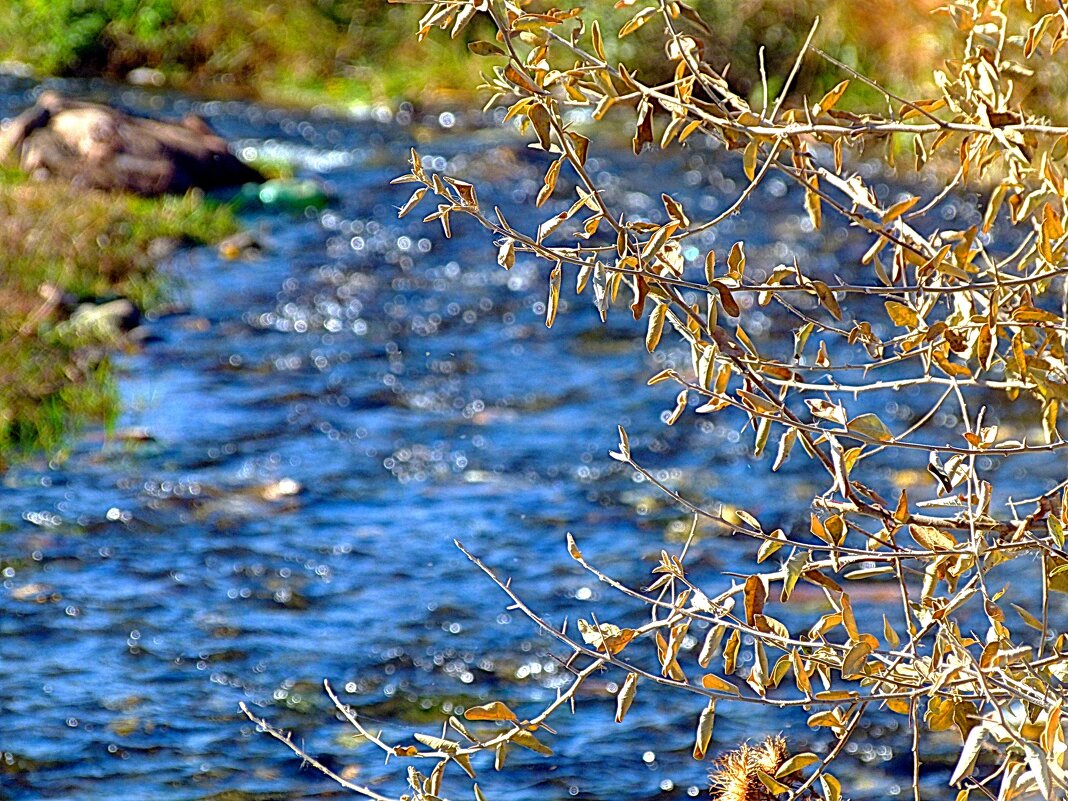 Полдник - Николай 