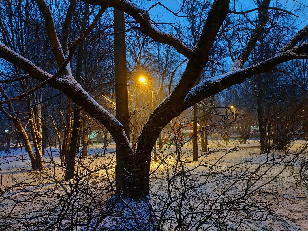 Последний день осени в Москве - Андрей Лукьянов