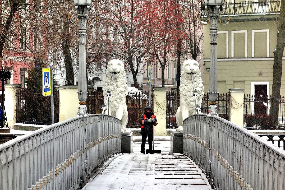 За львами надо убирать. - Игорь Корф